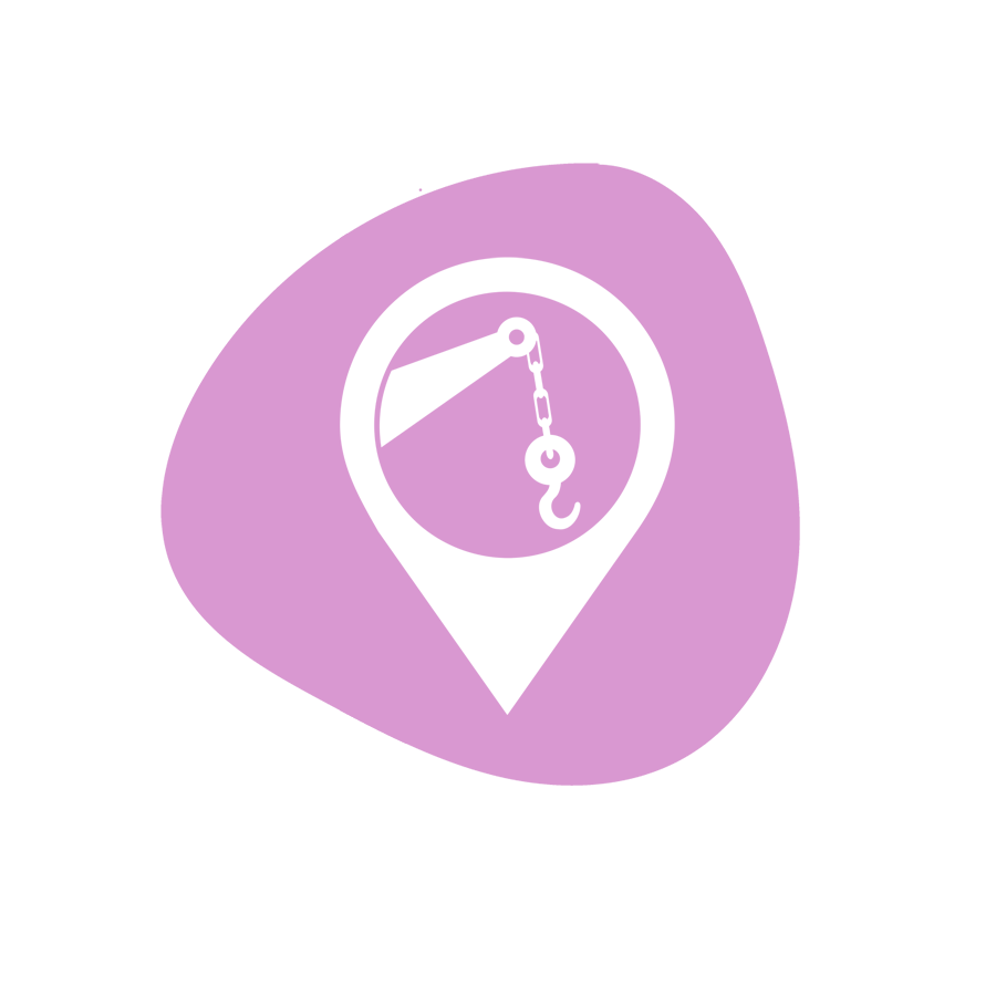 Assistance cheval, van/camion